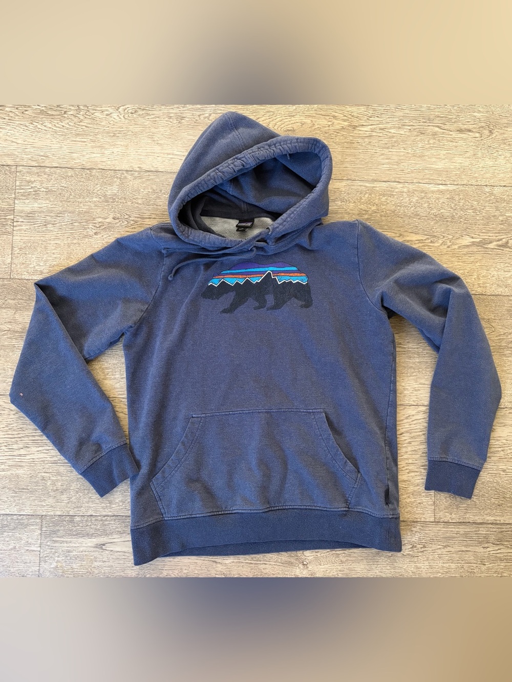 Patagonia Fitz Roy Bear Logo size Medium Hoodie Sweatshirt